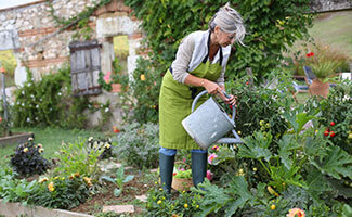 Gartenarbeit & Gartenpflege - Gartenarbeit und Gartenpflege übers Jahr - stadtfarmer.eu/