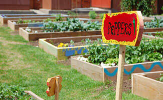 Der Bio-Garten als Nutzgarten - Der Bio-Garten als Nutzgarten Anbau von Gemüse U. Salat - stadtfarmer.eu