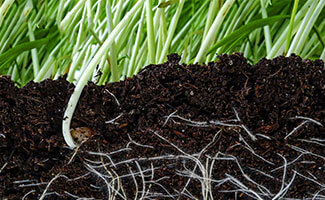Der richtige Boden - Der richtige Boden – die Grundlage eines guten Bio-Gartens- stadtfarmer.eu