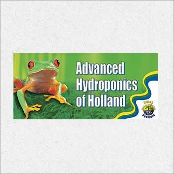 Advanced Hydroponics of Holland