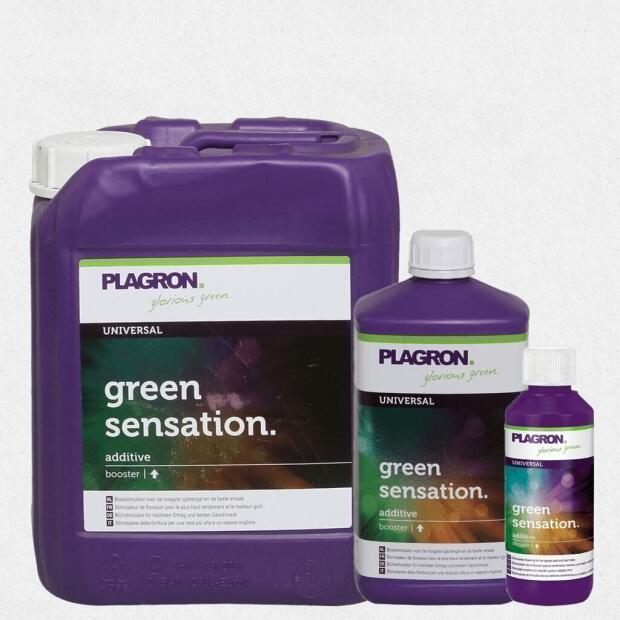 Plagron Green Sensation