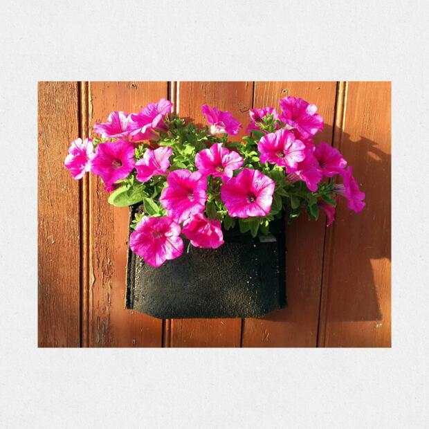 Gronest Wall Pot 4,5L