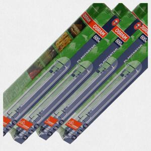 Osram Planta Star Leuchtmittel