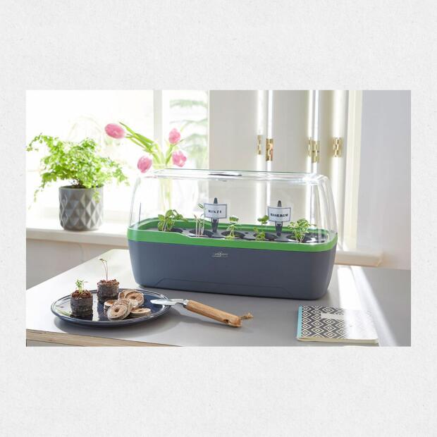 Gewächshaus BoQube L Plus Anthrazit Grün