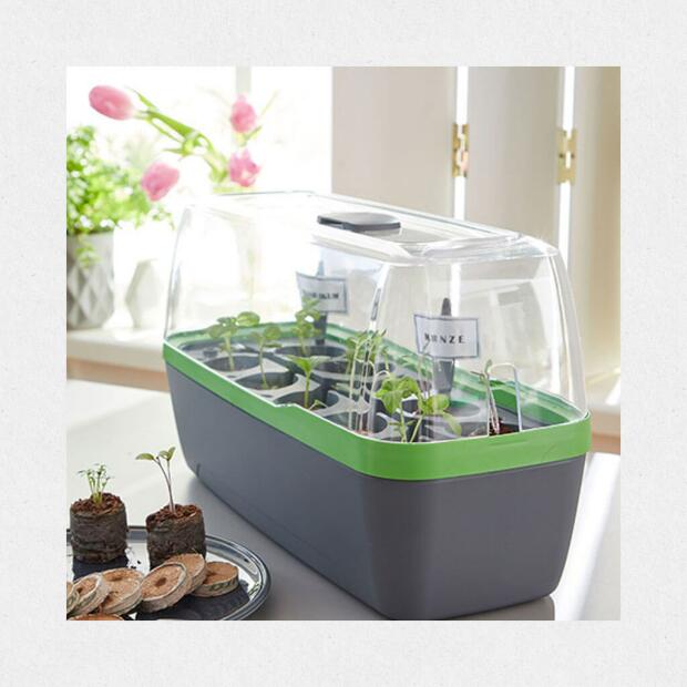 Gewächshaus BoQube L Plus Anthrazit Grün