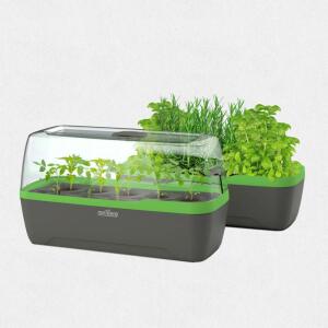 Gewächshaus BoQube L Plus Anthrazit Grün