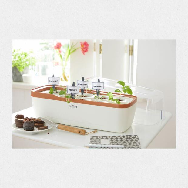 Gewächshaus BoQube L Plus Creme Kupfer