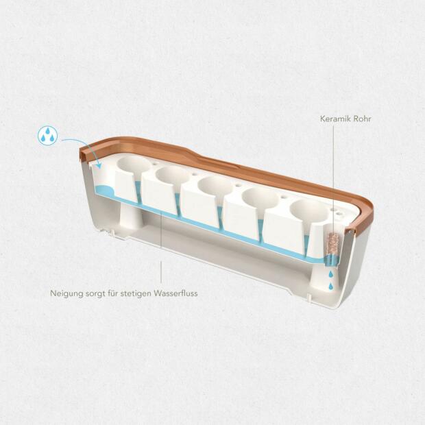 Gewächshaus BoQube L Plus Creme Kupfer