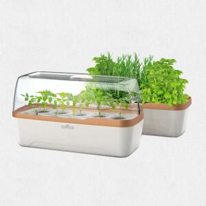 Gewächshaus BoQube L Plus Creme Kupfer