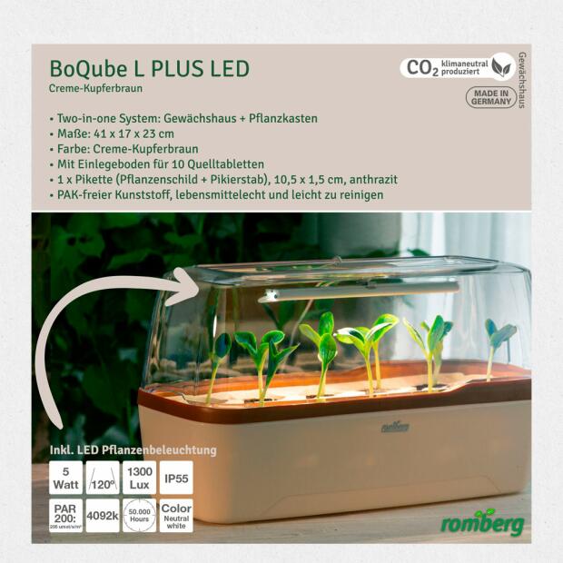 LED Gewächshaus Creme Kupfer