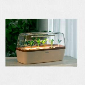 LED Gewächshaus Creme Kupfer