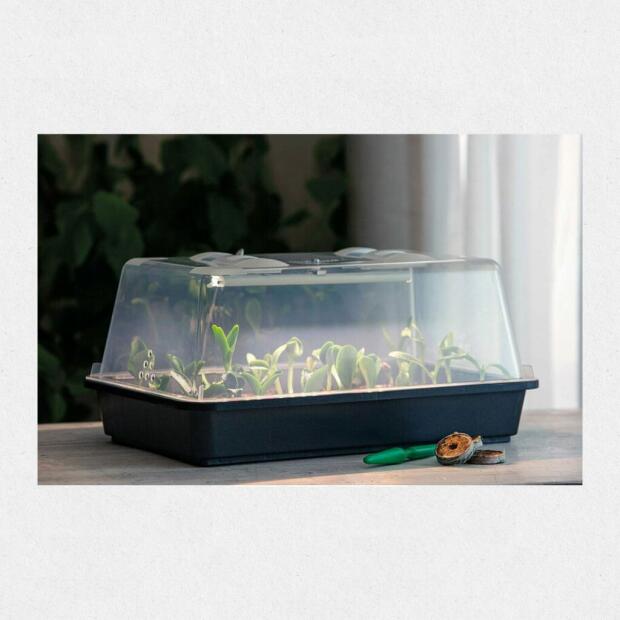 Zimmergewächshau LED Lumio M