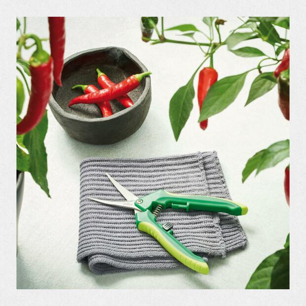 Ernteschere "Curved"