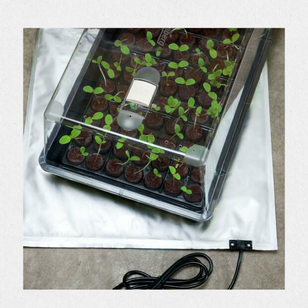 Heizmatte SkinnyHeat 75