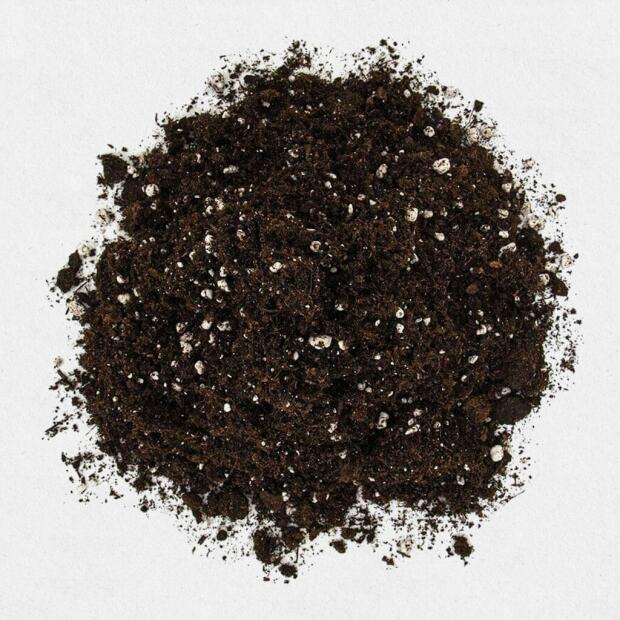 Floragard Professional Growmix 70 Liter