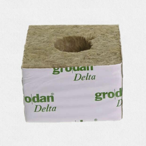 Grodan Steinwollblock 10x10x6,5cm gr. Loch 216 Stck. Karton