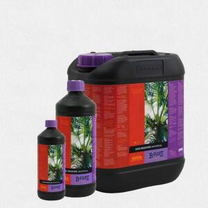 ATAMI B´cuzz Coco Booster