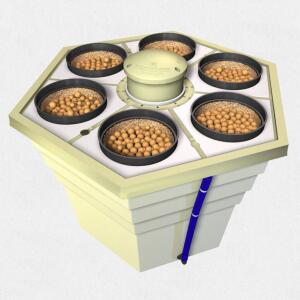 T.A. Rainforest 2 für 6 Pflanzen