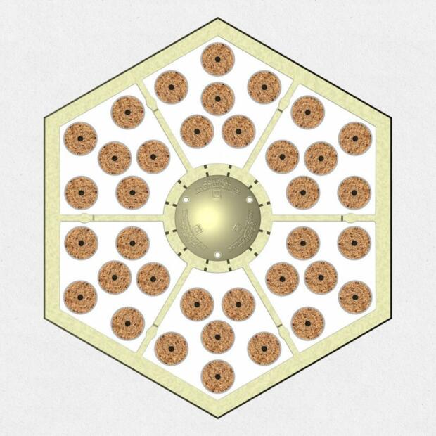 T.A. Rainforest 2 für 36 Pflanzen