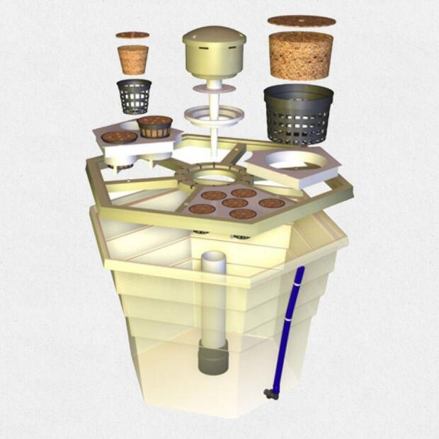 T.A. Rainforest 2 für 36 Pflanzen