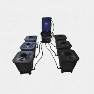 Deep Water Culture System 6 POT