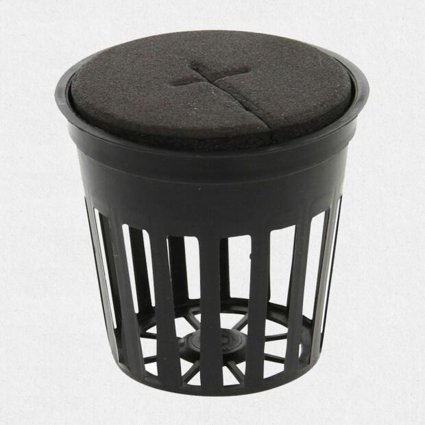 Zellkautschuk Ring 5,5cm für Netztöpfe