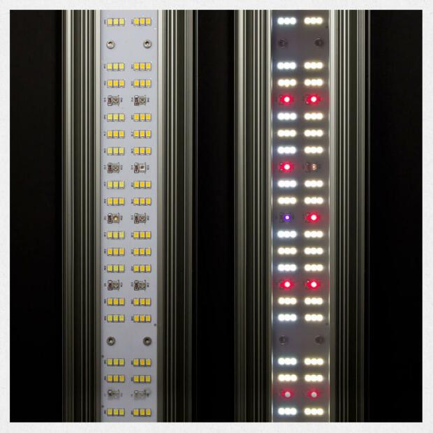 Greenception GCx 5solo 150 W