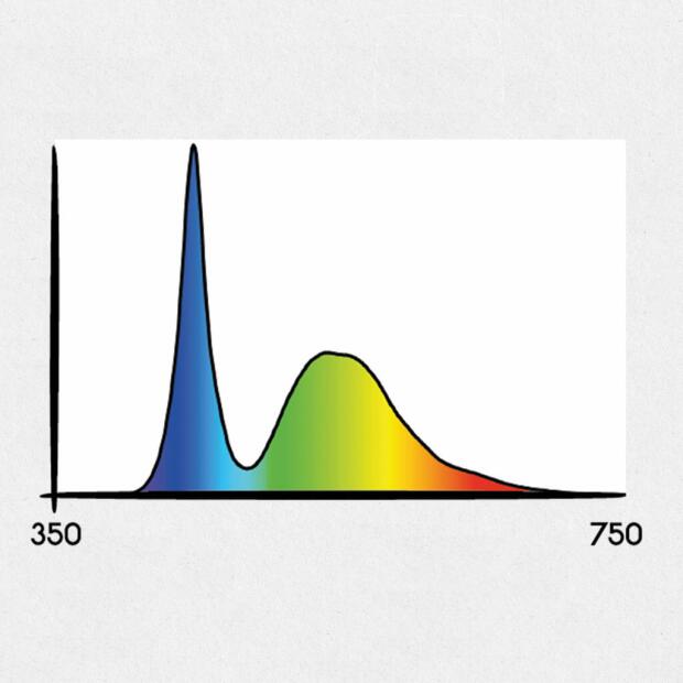 Secret Jardin Cosmorrow LED 20W Wuchs