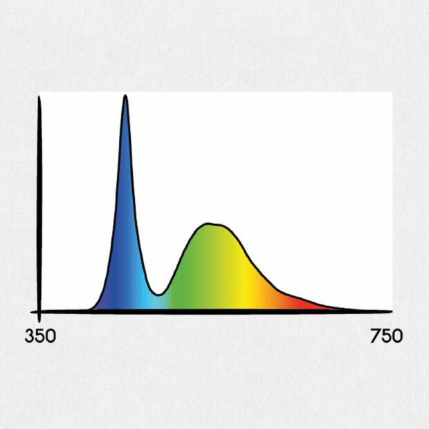 Secret Jardin Cosmorrow LED 40W Wuchs
