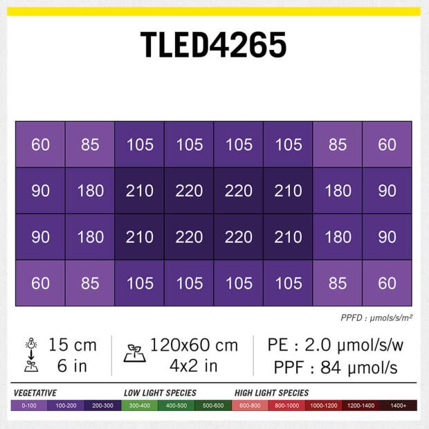 Secret Jardin TLED 42W Blüte