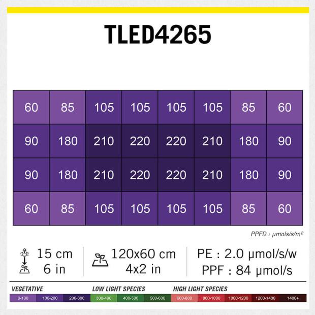 Secret Jardin TLED 42W Wuchs