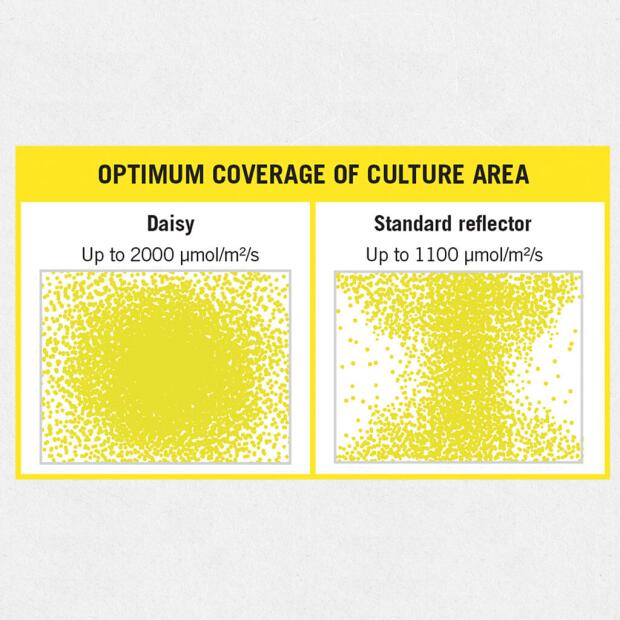 Secret Jardin Daisy Reflektorschirm 60 cm