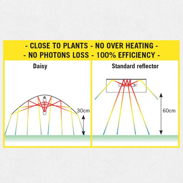 Secret Jardin Daisy Reflektorschirm 60 cm
