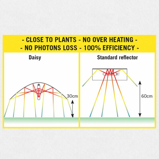 Secret Jardin Daisy CMH Reflektor