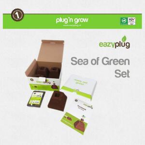 Eazy Plug Sea of Green Set