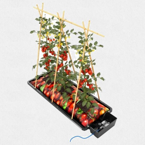 AUTOPOT System Tray2Grow