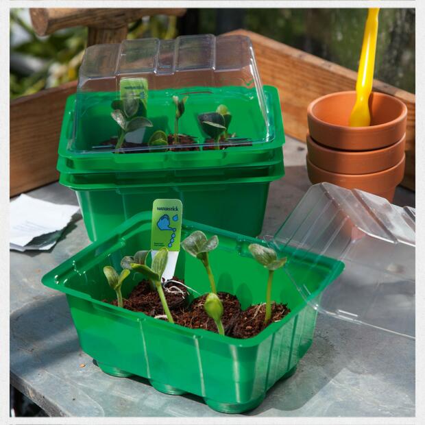 Romberg Anzuchthaus XS PLUS COCO