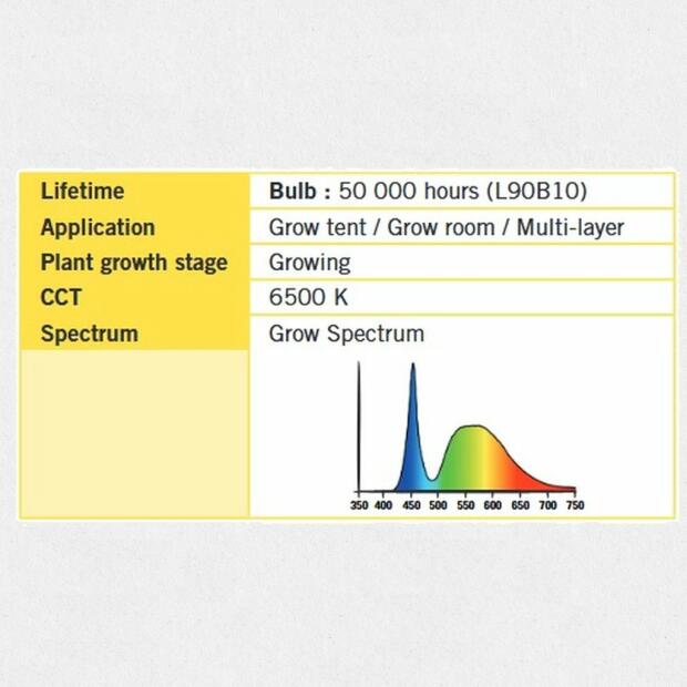 Secret Jardin Cosmorrow  Wuchs Kit