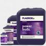 Plagron Power Buds 100ml - 10L