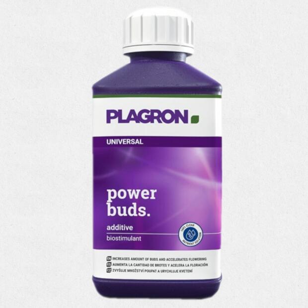 Plagron Power Buds 100 ml