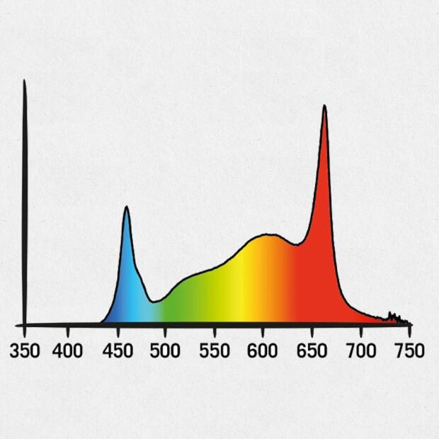 Secret Jardin Cosmorrow Blüte LED 20W PPE2.4