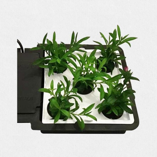 AUTOPOT AQUAplate Square Kit