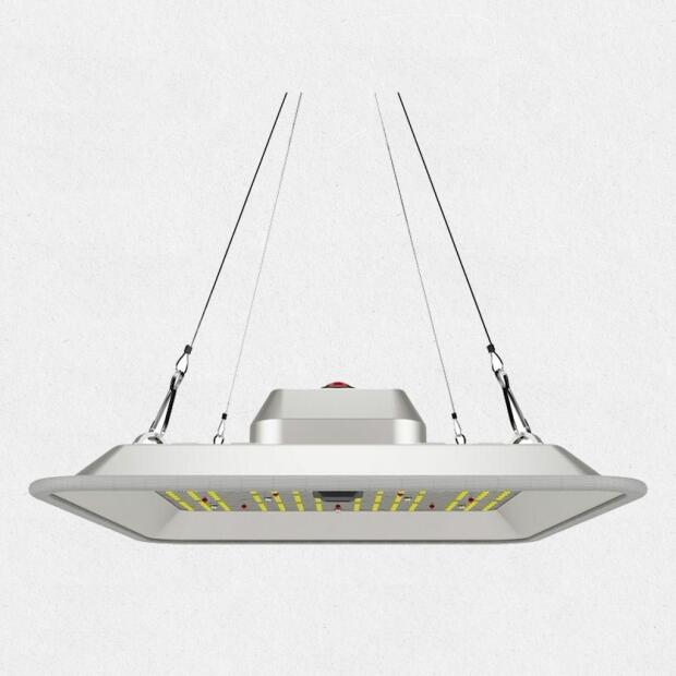 GCPURE 60 Effiziente LEDPflanzenleuchte