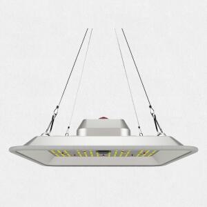 Greenception GC-PURE 60W