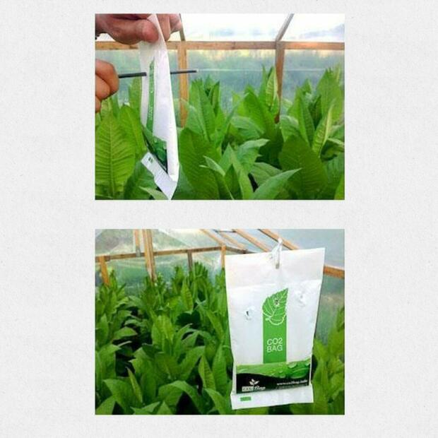 CO2 Bag Kohlendioxid-Tüte XL