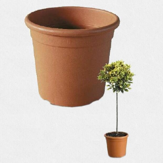 Blumentopf Terracotta rund 9-18L