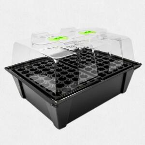 Nutriculture X Stream 80 Hydro Gewächshaus