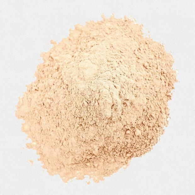 Ugro Rhiza 1200 organisches Bewurzelungspulver 4g - 500g