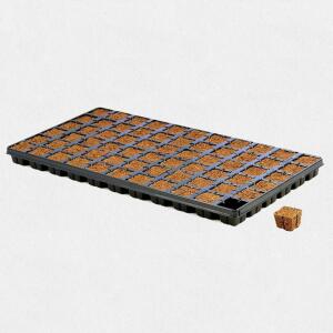 Eazy Plug Stecklingstray 66Stk. CT66