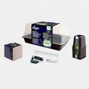 Romberg Homegrow BASIC STARTER BOX